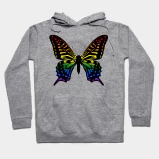 Rainbow butterfly Hoodie